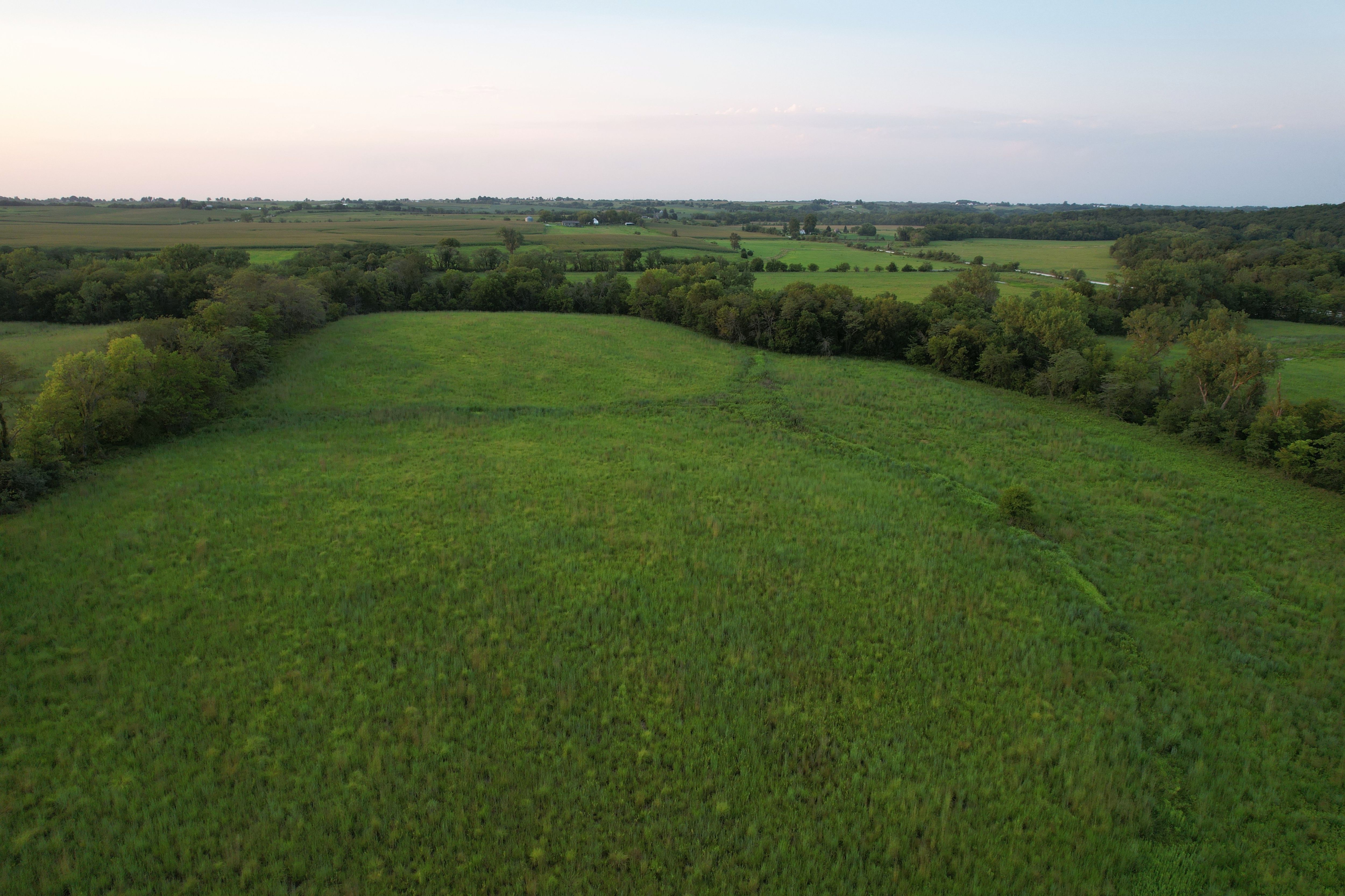 Listing Photo: Krumme Drone (38)